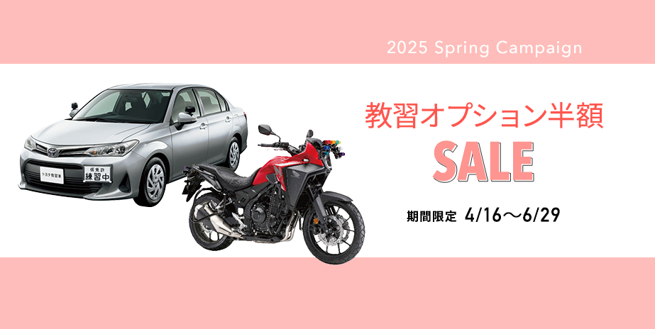 SALE！マイスケジュール・安心パック50％OFF